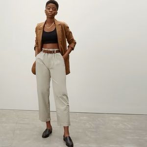 Everlane pleated Chino in Sandstone
